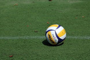 AC MILANSPORTS-女排世锦赛：中国队力压群雄，奖牌不断！，女排世锦赛名额